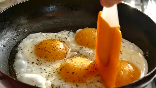 Kycklingägg Stekta Kastrull Ägglunch Koka Frukost Från Äggröra — Stockvideo