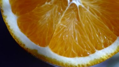 Sulu turuncu kesiklerin detaylı görüntüsü. Citrus meyvesi. Bir tutam portakal. 