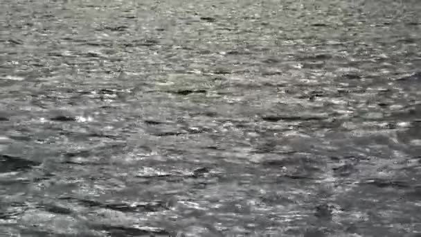 Ondas na superfície da água. Textura de fundo onda cinza. Um reflexo dos raios de sóis na água. Lago do rio mar . — Vídeo de Stock