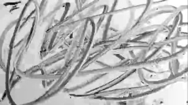 Siyah ve beyaz rötuş işareti. Soyut doku. Tahtaya keçeli kalemle çizim yapmak. 