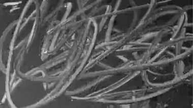 Siyah ve beyaz rötuş işareti. Soyut doku. Tahtaya keçeli kalemle çizim yapmak. 