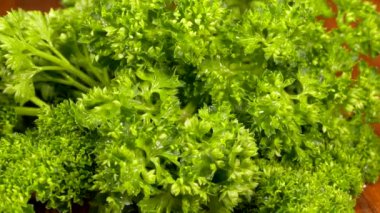 Kesme tahtasındaki maydanoz. Vejetaryen yemeği..