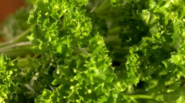 Yeşil salata. Kesme tahtasındaki maydanoz. Vejetaryen yemeği..