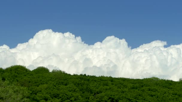 Nubes burbujeantes blancas vuelan sobre un bosque de montaña. Hermosas nubes contra el cielo azul en el horizonte. Timelapse. El clima está cambiando. Se acerca una tormenta. . — Vídeos de Stock