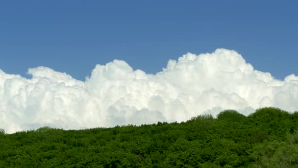 Weiße blubbernde Wolken fliegen über einen Bergwald. Schöne Wolken vor dem blauen Himmel am Horizont. Zeitraffer. Das Wetter ändert sich. Ein Sturm zieht auf. — Stockvideo