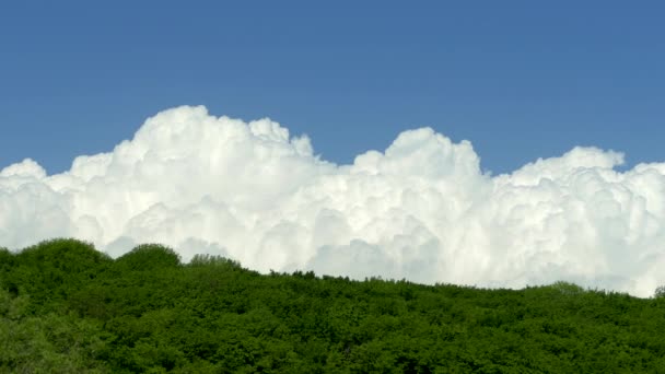Weiße blubbernde Wolken fliegen über einen Bergwald. Schöne Wolken vor dem blauen Himmel am Horizont. Zeitraffer. Das Wetter ändert sich. Ein Sturm zieht auf. — Stockvideo