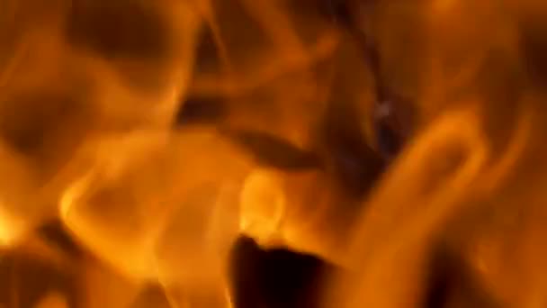 Φλόγες φωτιάς από κοντά. Φωτιά. Καύση ξύλου σε μαύρο φόντο. — Αρχείο Βίντεο