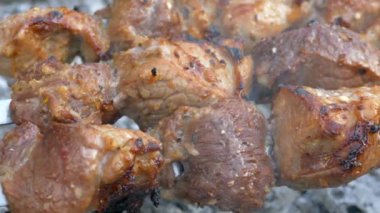 Barbekü ızgarada kızardı. Şişte domuz eti. Alevli et dilimleri. Doğada piknik yapmak..
