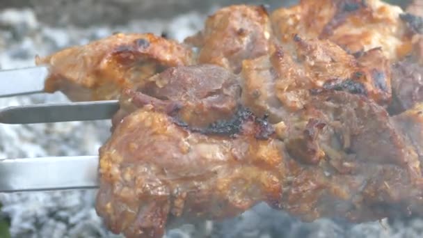 Grătarul Prăjit Grătar Carne Porc Frigărui Felii Suculente Carne Foc — Videoclip de stoc