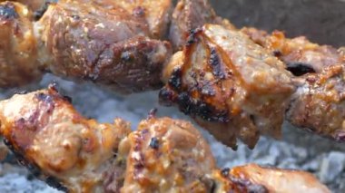 Barbekü ızgarada kızardı. Şişte domuz eti. Alevli et dilimleri. Doğada piknik yapmak..