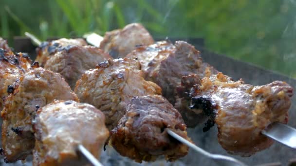 Gegrillt wird auf dem Grill. Schweinefleisch am Spieß. Saftige Fleischscheiben in Flammen. Kochen beim Picknick in der Natur. — Stockvideo