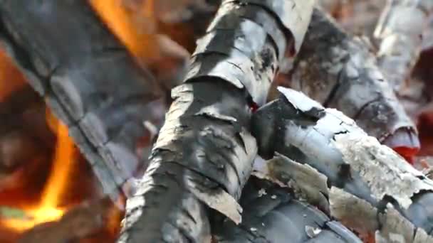 La leña se quema en un fuego. El carbón vegetal se quema. Fuego y cenizas. — Vídeo de stock