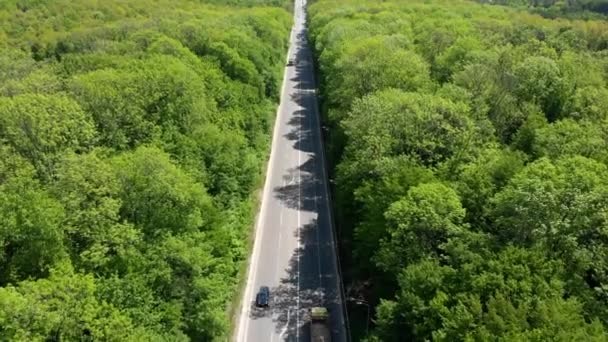 Carretera con coches. Transporte logístico y entrega de mercancías. La carretera entre los árboles. — Vídeos de Stock