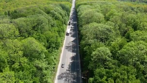 有车的路物流运输和货物交付。林间的公路. — 图库视频影像