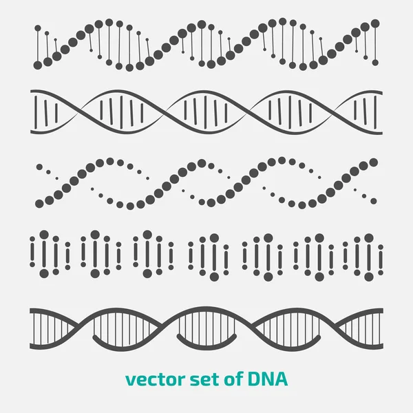 Vector set of elements DNA. — Stock Vector
