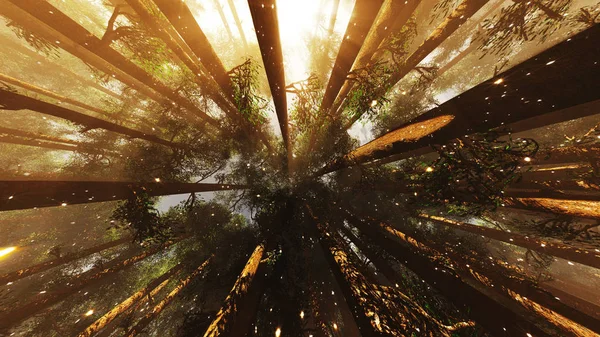 Lightrays és a szentjánosbogarak misztikus Fantasy-erdő alacsony nagy látószögű — Stock Fotó