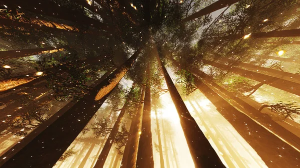 Bosques de fantasía mística con farolas y luciérnagas de bajo ángulo ancho — Foto de Stock