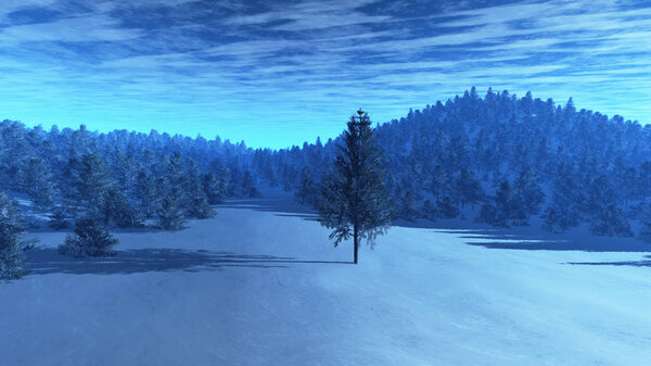Winter Scene with Pine Forest