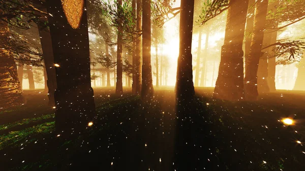 Mystic Fantasy Woods with Lightrays and Fireflies — Stock Photo, Image