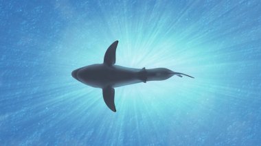 Büyük beyaz köpekbalığı okyanus yan görünümü