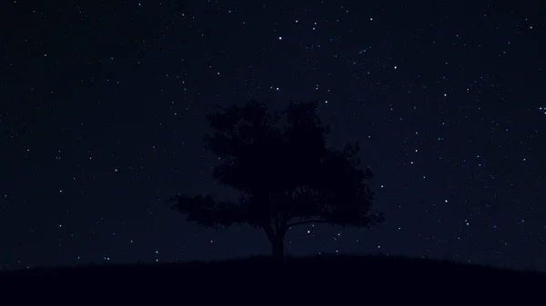 Lonely Tree under Amazing Clean Night Sky with Stars — Stock Photo, Image