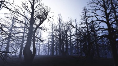 Ölü orman Misty Woods