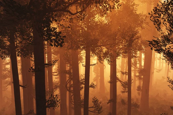 Maravilloso bosque profundo 3en el amanecer del atardecer — Foto de Stock