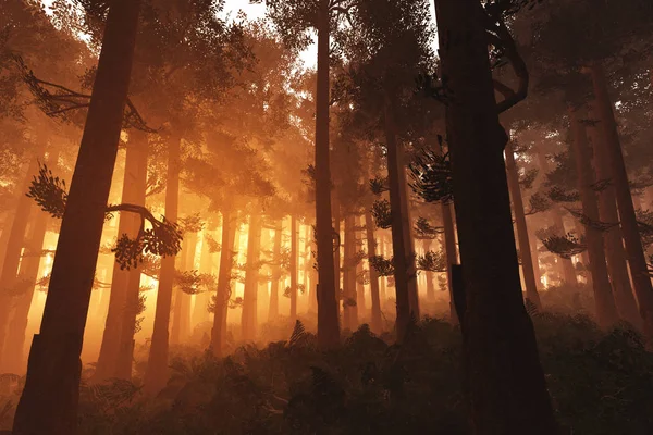 Чудовий глибокий ліс 3 дюйма захід сонця Схід сонця — стокове фото