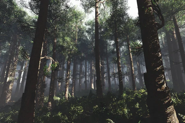 Csodálatos mély erdő — Stock Fotó
