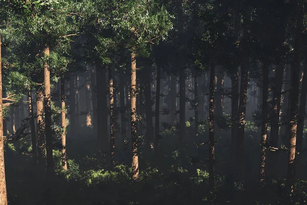 Чудесный глубокий лес — стоковое фото