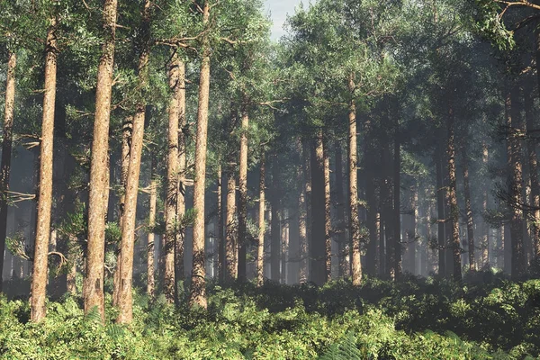 Foresta profonda meravigliosa — Foto Stock