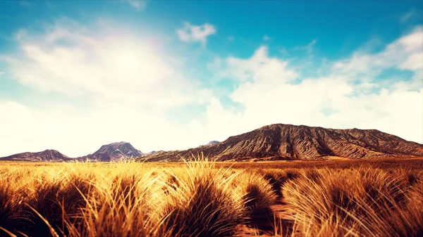 Ημι Άνυδρο Τοπίο Της Ερήμου Φόντο Βουνά — Φωτογραφία Αρχείου