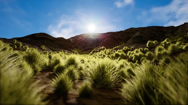Het Droge Woestijnlandschap Halve Achtergrond Van Bergen — Stockfoto