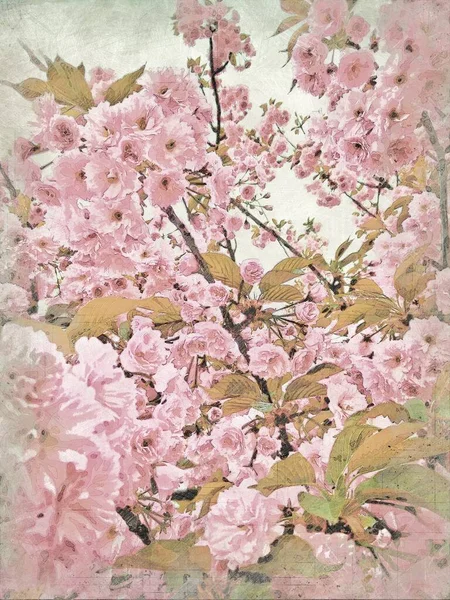 Frühling in voller Blüte Vintage Kunstwerk Illustration — Stockfoto
