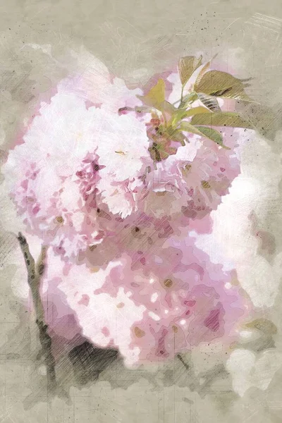 Roze lente bloemen Vintage Oosterse kunst illustratie Rechtenvrije Stockfoto's