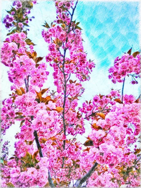 ピンクの春の花が咲く木のイラスト ロイヤリティフリーのストック写真