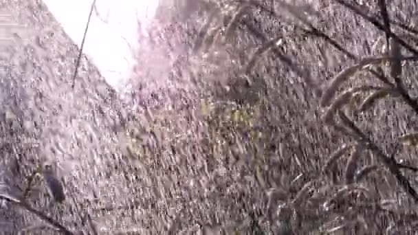 Spray Agua Dulce Contra Sol Primavera — Vídeo de stock