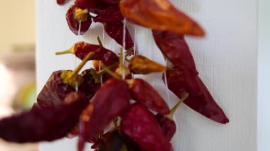 4K Chili Paprika Makro 3