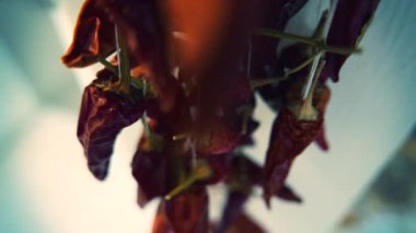 4K Kırmızı biber Makro 5