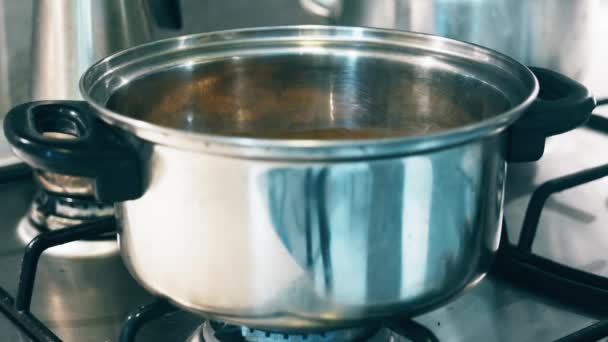 Alimentos Que Preparan Estufa Gas — Vídeo de stock