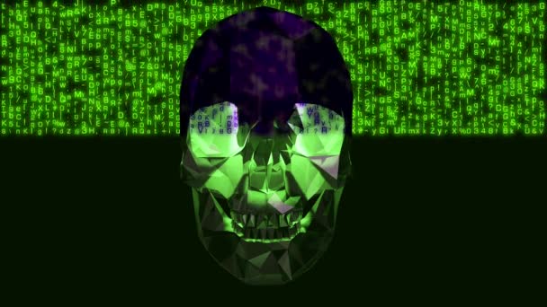 4Kコンピュータウイルス感染ハッカーの概念3 — ストック動画