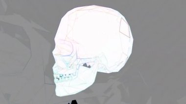 4K Dönen Kafatası Cadılar Bayramı Çizgi Roman Sanatı 1