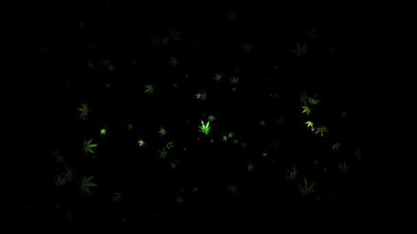 Cannabis Leaves Flying — Stock video