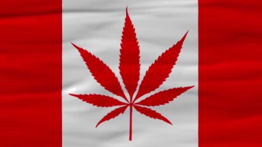 Kanada 'da Marihuana Yasalaştırma Bayrağı Konsepti