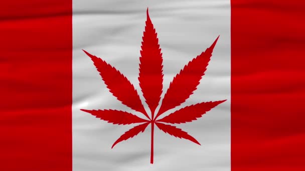 Canadis Flaggenkonzept Für Die Legalisierung Von Marihuana Kanada — Stockvideo