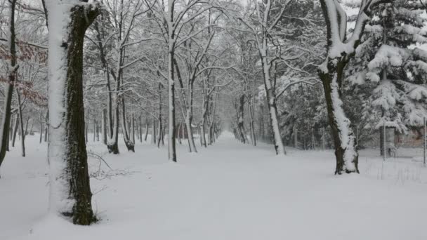 Queda Neve Inverno Uma Cidade Abandonada — Vídeo de Stock