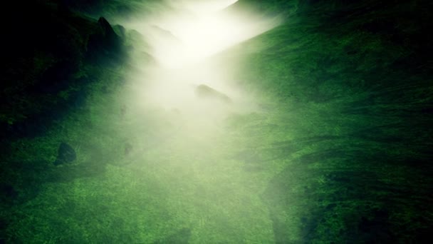 Aerial View Mysterious Foggy Valley Animation — Stock video