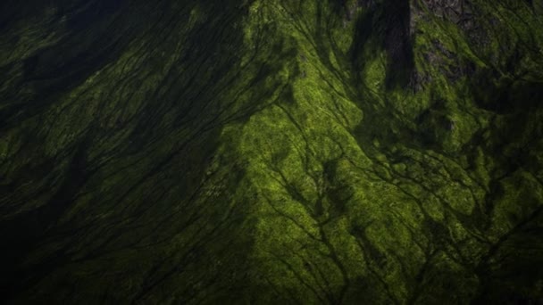 Green Grassy Highland Cinematic Aerial Animation — Stockvideo