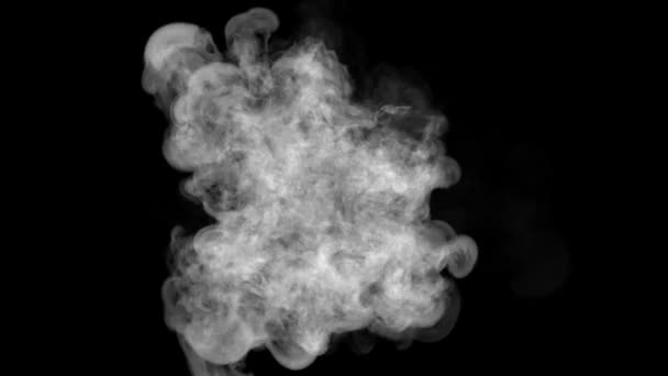 烟雾轮廓1000Fps超级慢速旋转3D动画 — 图库视频影像