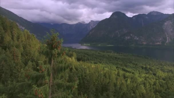 Hallstatt fliegt über Wald — Stockvideo